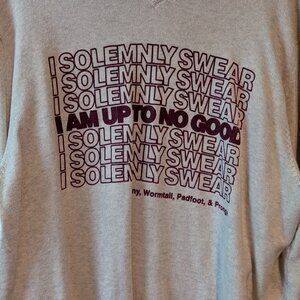 Harry Potter Solemnly Swear sweater